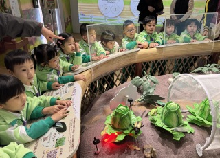 參觀農館-Farm-Discovery-Field-Trip-2