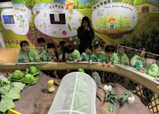 參觀農館-Farm-Discovery-Field-Trip-5