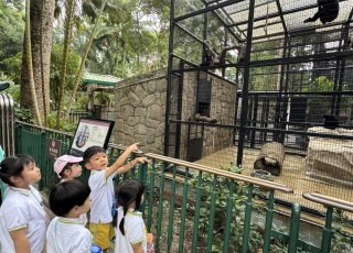 參觀香港動植物公園-Visit-to-Hong-Kong-Zoological-and-Botanical-Gardens-10