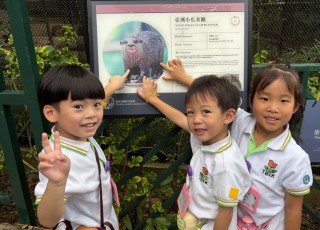 參觀香港動植物公園-Visit-to-Hong-Kong-Zoological-and-Botanical-Gardens-3
