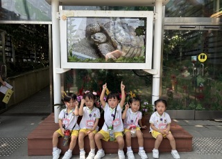 參觀香港動植物公園-Visit-to-Hong-Kong-Zoological-and-Botanical-Gardens-6