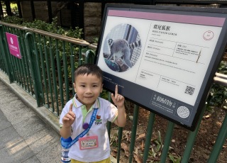 參觀香港動植物公園-Visit-to-Hong-Kong-Zoological-and-Botanical-Gardens-8