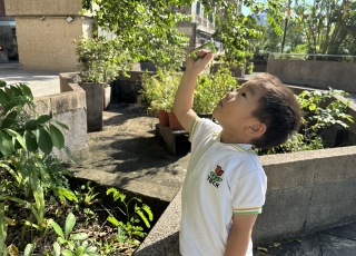 天父的花園-God_s-Little-Gardeners8