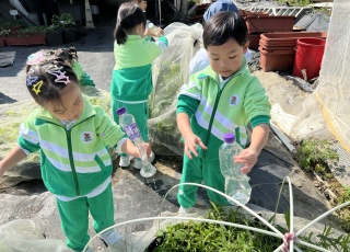 小小農夫-Little-Farmer-Adventure-1