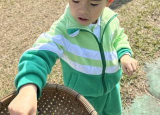小小農夫-Little-Farmer-Adventure-10