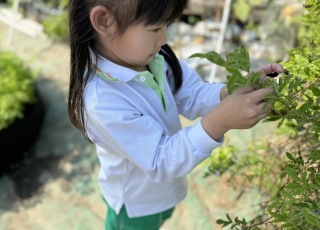小小農夫-Little-Farmer-Adventure-11
