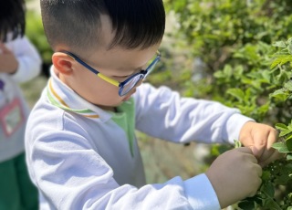 小小農夫-Little-Farmer-Adventure-12