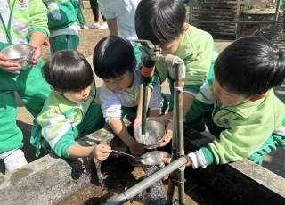 小小農夫-Little-Farmer-Adventure-2