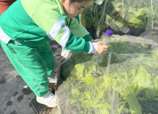 小小農夫-Little-Farmer-Adventure-8