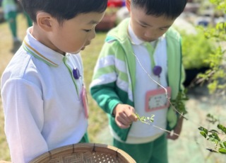 小小農夫-Little-Farmer-Adventure-9