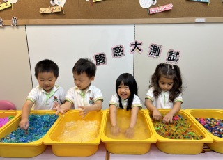 觸感大測試-Touch-and-Tell-Challenge-2